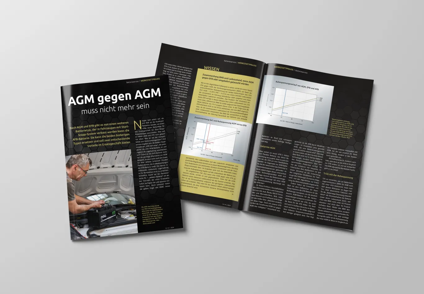 AGM Akü Yerine Artık Mutlaka AGM Gerekmiyor: Yeni AFB Teknolojisi